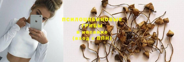 бошки Горно-Алтайск
