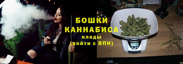 хмурый Гусев