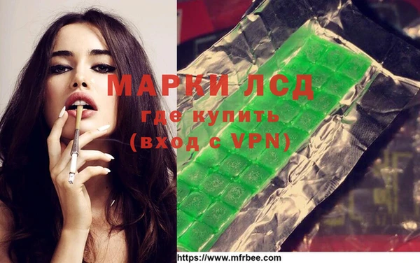 прущие грибы Гусиноозёрск