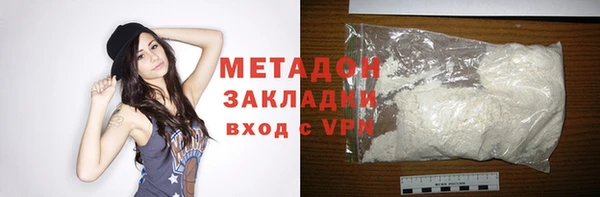 прущие грибы Гусиноозёрск