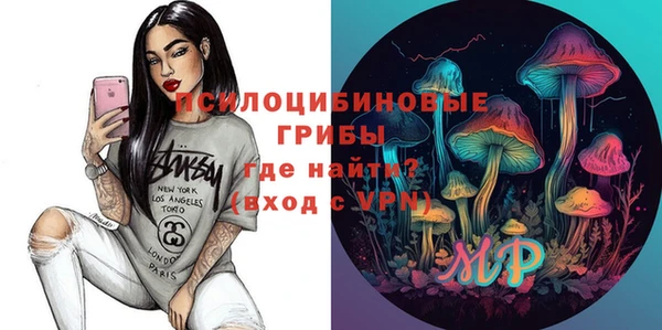 прущие грибы Гусиноозёрск