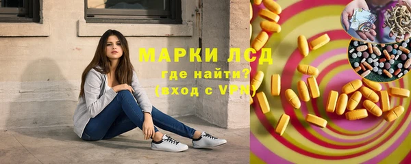 хмурый Гусев
