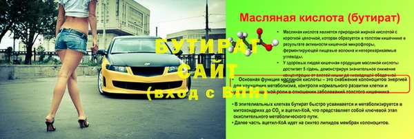 прущие грибы Гусиноозёрск