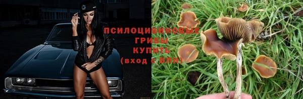 бошки Горно-Алтайск