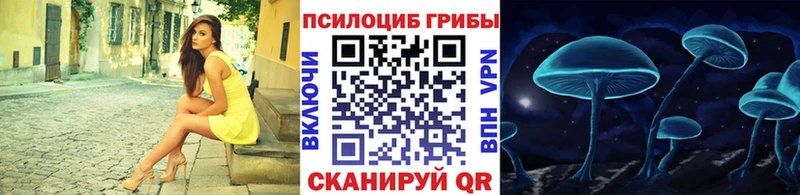 что такое darknet формула Псилоцибиновые грибы GOLDEN TEACHER Советский